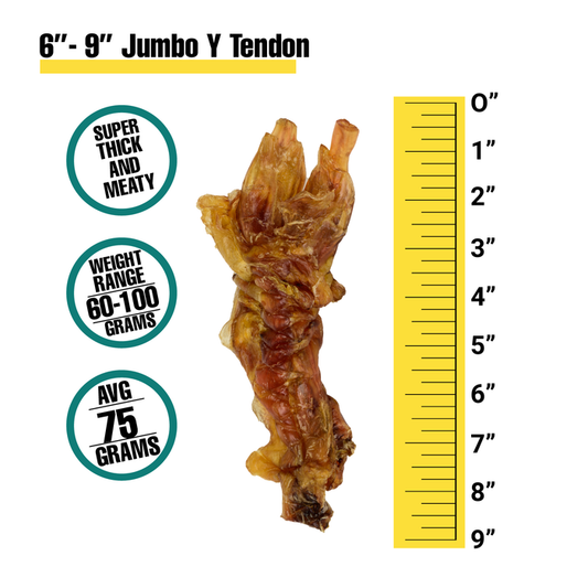 Beef Tendon - 3 Pack