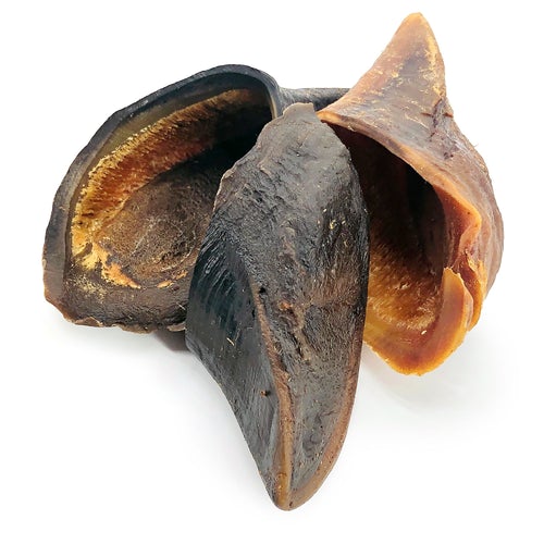 Cow Hoof