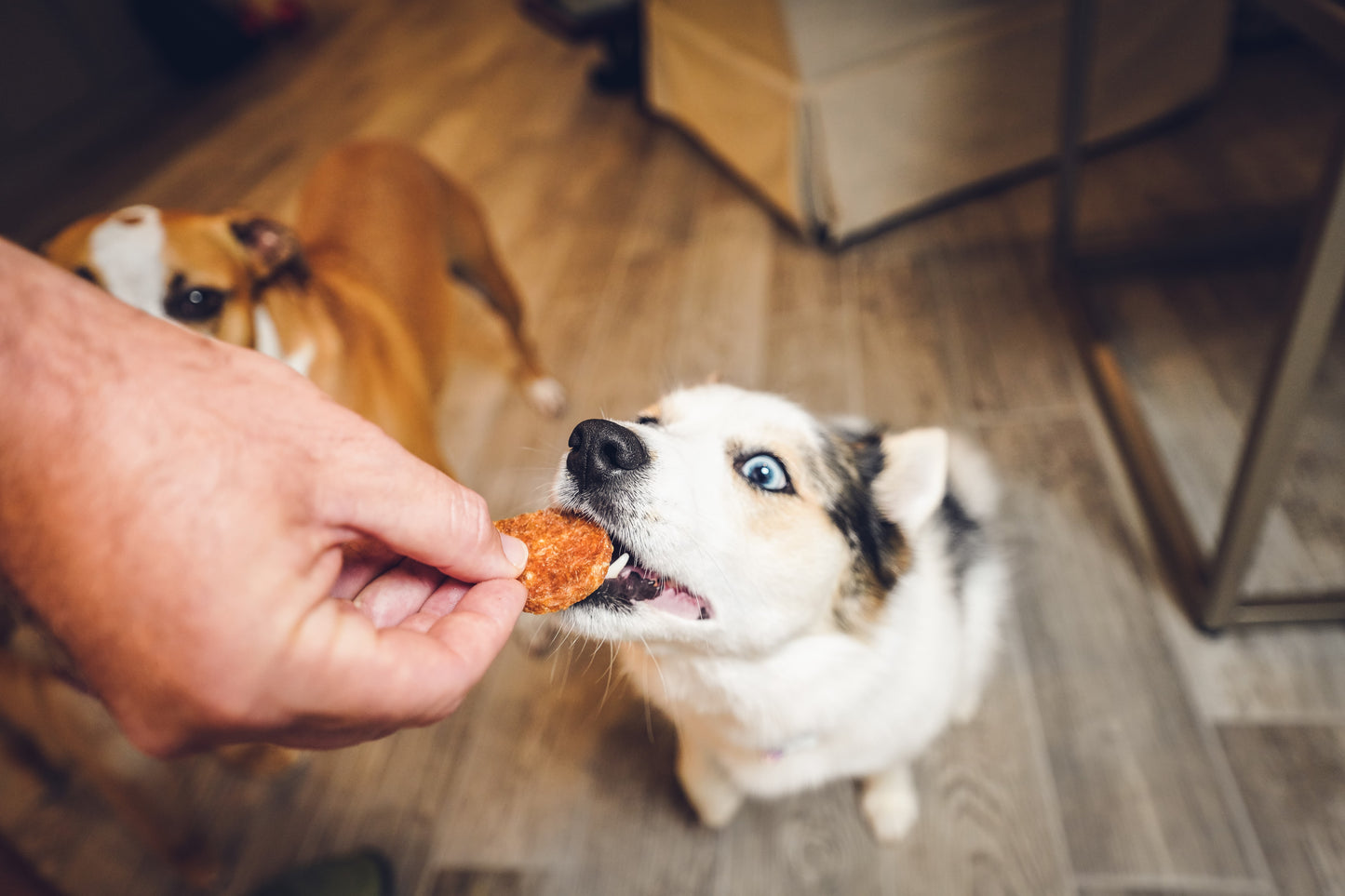 100% Chicken Breast